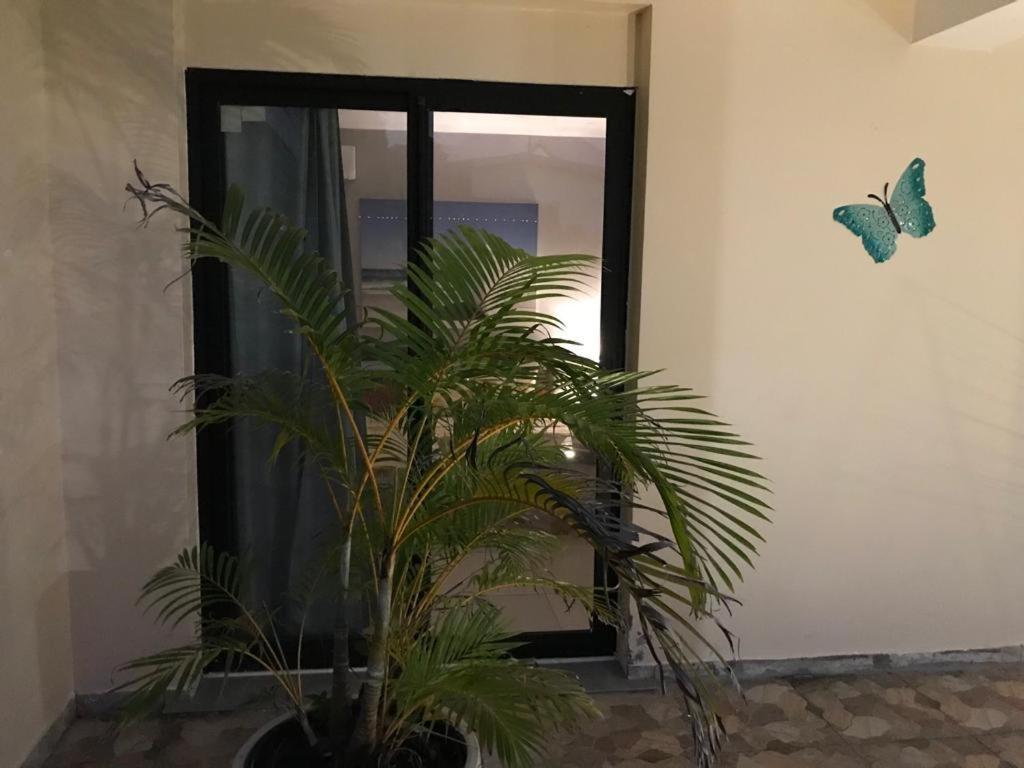 Nicole Residence Avec Piscine Chauffee & Jacuzzi Saint-André Zewnętrze zdjęcie